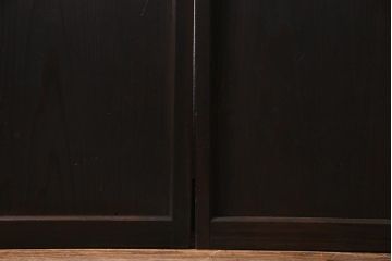 アンティーク家具　昭和初期　シックなインテリアと相性の良いガラス戸2枚セット(引き戸、建具)(R-037672)
