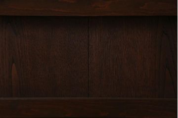 アンティーク建具　明治大正期　総栗材　濃い色合いと味わいが魅力的な蔵戸(建具、引き戸、玄関戸)(R-037768)