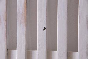 アンティーク建具　ホワイトペイントが爽やかな荒格子戸1枚(引き戸、建具)(R-037889)