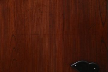 アンティーク建具　ヒノキ・ケヤキ材　純和風の空間におすすめな重厚感漂う庄内蔵戸(建具、引き戸、玄関戸)(R-037980)