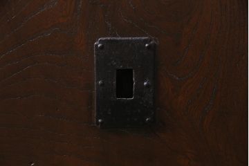 アンティーク建具　総ケヤキ材　亀甲金網　渋い和の空間づくりにおすすめな鉄格子付き蔵戸(引き戸、建具、玄関戸)(R-037995)