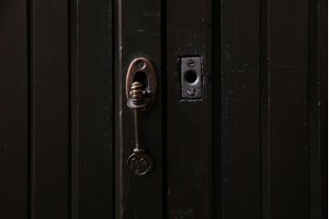 アンティーク建具　和製アンティーク　和の風情あふれる平格子戸2枚セット　(R-038139)