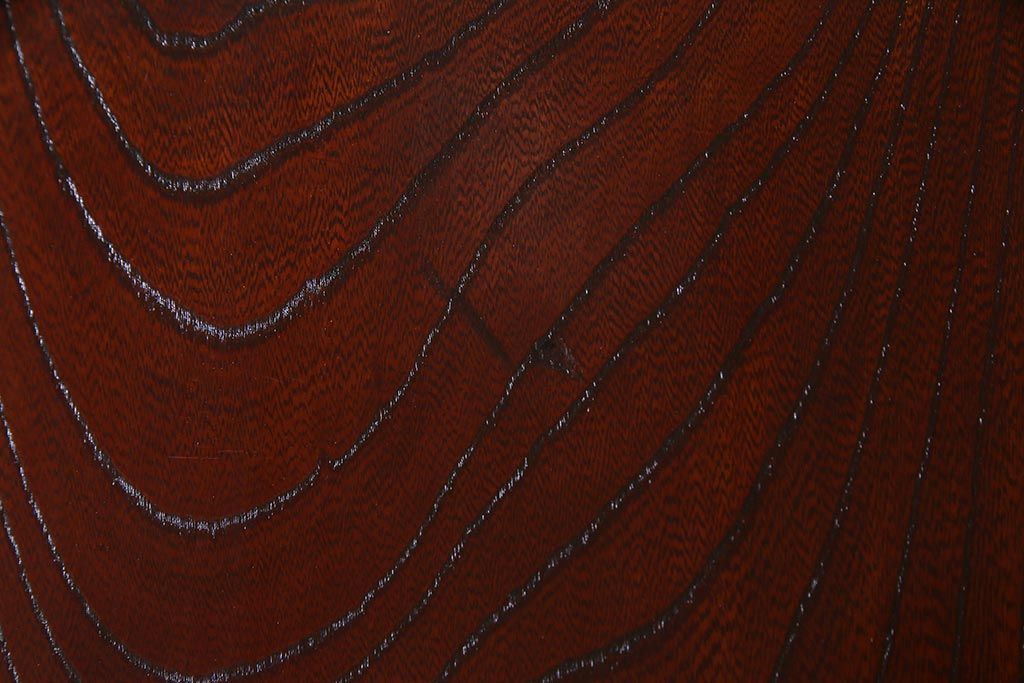 アンティーク建具　明治大正期　総ケヤキ材一枚板・漆塗り　赤みを帯びた木肌が魅力の蔵戸(建具、引き戸、玄関戸)(R-038144)