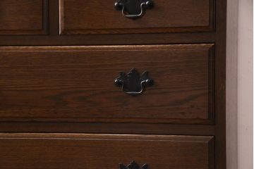 ヴィンテージ家具　ビンテージ　ナラ材　上手物　気品あふれる佇まいのカップボード(収納棚、飾り棚)(R-038157)