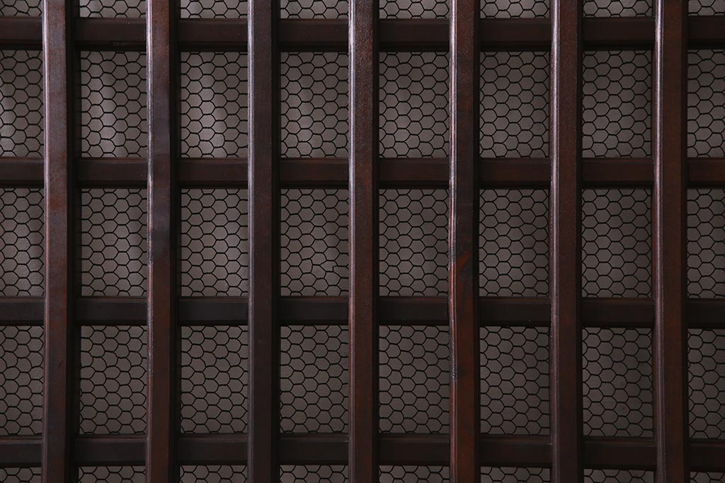 アンティーク建具　明治大正期　亀甲金網　細かなマス目が目を惹く珍しいサイズの格子蔵戸(きつね格子、狐格子、建具、引き戸、玄関戸)(R-038187)