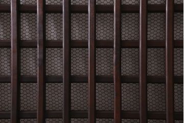 アンティーク建具　明治大正期　亀甲金網　細かなマス目が目を惹く珍しいサイズの格子蔵戸(きつね格子、狐格子、建具、引き戸、玄関戸)(R-038187)