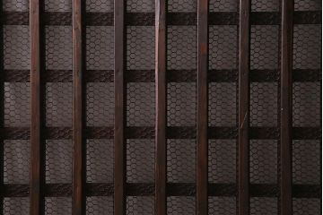 アンティーク建具　明治大正期　亀甲金網　細かなマス目が目を惹く珍しいサイズの格子蔵戸(きつね格子、狐格子、建具、引き戸、玄関戸)(R-038187)