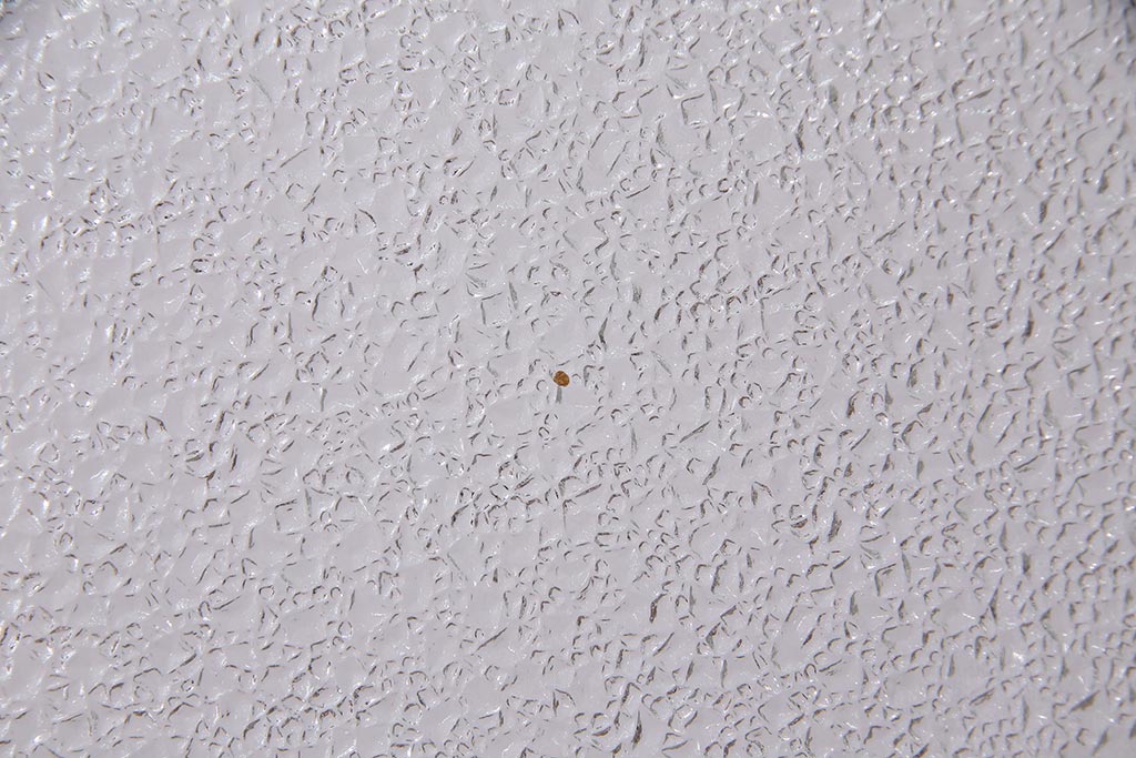 アンティーク建具　和製アンティーク　大判のダイヤガラスが魅力のガラス戸1枚(R-038199)