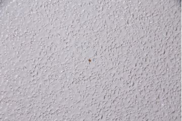 アンティーク建具　和製アンティーク　大判のダイヤガラスが魅力のガラス戸1枚(R-038199)