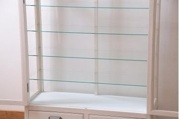 ペイント家具　和製アンティーク　昭和初期　淡いカラーがお洒落なガラスケース(ショーケース、陳列棚、飾り棚)(R-038307)