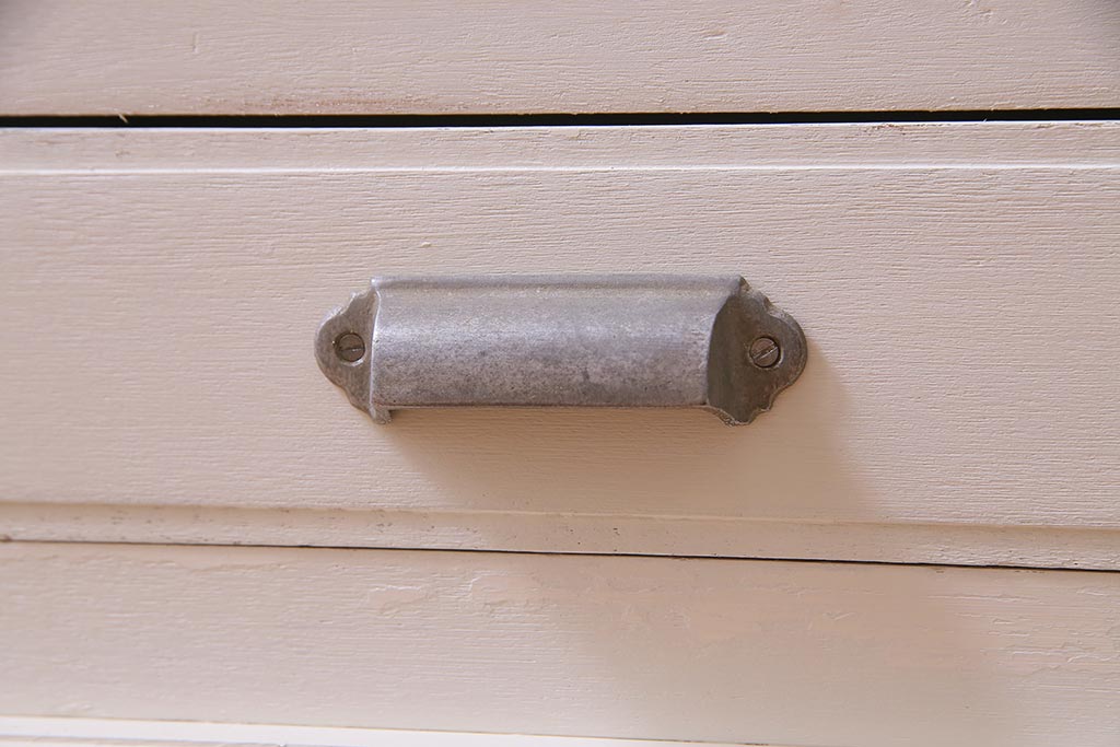 ペイント家具　和製アンティーク　昭和初期　淡いカラーがお洒落なガラスケース(ショーケース、陳列棚、飾り棚)(R-038307)