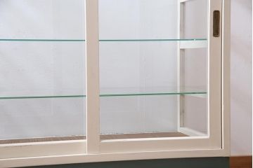 アンティーク家具　ペイント　優しげなカラーが魅力的なガラスケース(ショーケース、陳列棚)(R-038334)