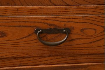 アンティーク家具　昭和初期　三方栓材　ユニークなデザインが魅力の本箱(ブックケース、収納棚)(R-038433)