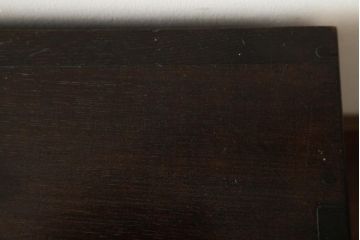 アンティーク家具　昭和初期　ナラ材　和製アンティークのシックな扉付きレコードケース(収納棚)(R-038467)