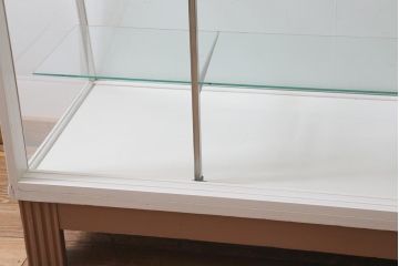ペイント家具　イギリスヴィンテージ　ナチュラルスタイルにおすすめのガラスケース(ショーケース、陳列棚、ビンテージ)(R-038642)