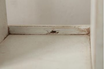 アンティーク雑貨　昭和初期　ペイント　可愛らしい佇まいが魅力の引き出し付き本立て(ブックエンド)(R-038893)