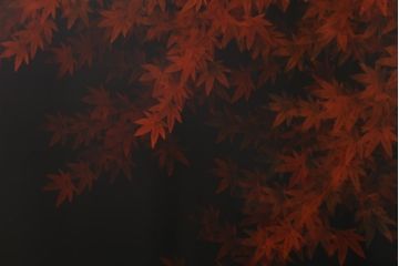 中古　漆塗　広堂作　夕焼紅葉図　朱と黒のコントラストが印象的なつい立て(衝立、パーテーション)(R-038912)