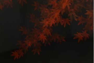 中古　漆塗　広堂作　夕焼紅葉図　朱と黒のコントラストが印象的なつい立て(衝立、パーテーション)(R-038912)
