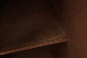 アンティーク家具　大正昭和初期　まだら模様の木目が目を惹く戸棚(収納棚、キャビネット、下駄箱)(R-039034)