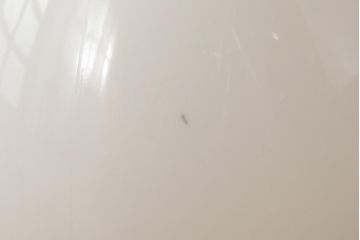 アンティーク照明　昭和初期　蕾のようなシルエットが愛らしい壁付け照明(ウォールライト、ウォールランプ)(R-039042)