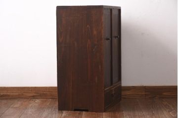 アンティーク家具　和製アンティーク　大正期　倹飩式の扉が風情ある戸棚(収納棚、キャビネット)(R-039067)