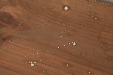 アンティーク家具　大正昭和初期　薄型　すっきりとした印象のシンプルな戸棚(収納棚、キャビネット、下駄箱)(R-039076)