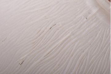 アンティーク照明　イギリスアンティーク　花模様が可愛らしいロマンチックなペンダントライト(天井照明)(R-039096)