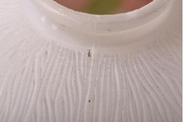 アンティーク照明　イギリスアンティーク　花模様が可愛らしいロマンチックなペンダントライト(天井照明)(R-039096)