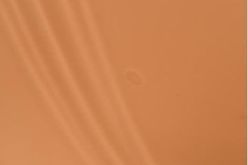 アンティーク照明　ブラケットの意匠が素敵な陽刻照明(ペンダントライト、天井照明、吊り下げ照明)(R-039098)