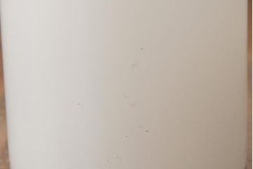 アンティーク照明　和製アンティーク　銅製　鳥の透かし彫りが可愛らしい壁掛け照明(シェード、ウォールライト、ブラケットライト)(R-039121)