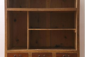 アンティーク家具　昭和レトロ　バイカラーが存在感を放つ戸棚(茶箪笥、収納棚)(R-039219)
