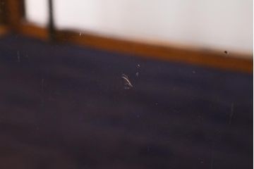 アンティーク家具　イギリスアンティーク　WITHY GROVE STORES　オーク材製　温かみのある木色がレトロなガラスケース(ショーケース、陳列棚)(R-039366)