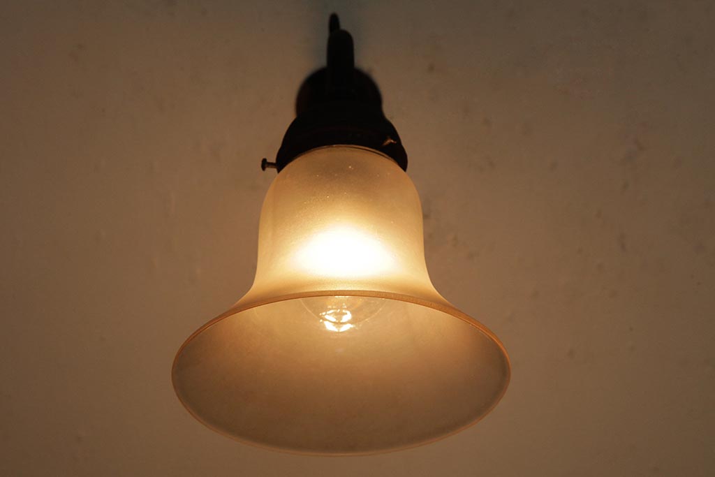 アンティーク照明　大正ロマン　花が咲いたようなデザインが魅力のウォールライト(シェード、ブラケットライト、壁掛け照明、壁付け照明)(R-039429)