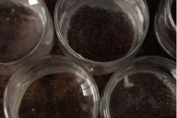 アンティーク雑貨　レトロ雑貨　アンティークボトル　小さな蓋付きガラス瓶5個セット(ガラスビン)(R-039455)