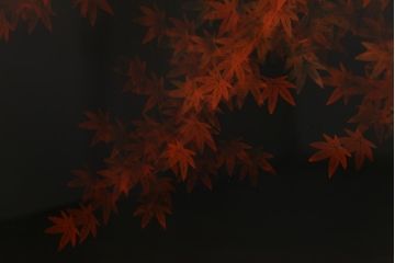 中古　漆塗り　象谷塗・蒟醤(キンマ)塗　鶴身広堂作　夕焼紅葉図　朱と黒のコントラストが印象的なつい立て(衝立、パーテーション)(R-039535)