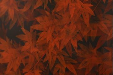 中古　漆塗り　象谷塗・蒟醤(キンマ)塗　鶴身広堂作　夕焼紅葉図　朱と黒のコントラストが印象的なつい立て(衝立、パーテーション)(R-039535)