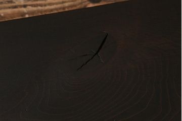 アンティーク家具　明治大正期　朴の木一枚板　使い込まれた木の風合いが趣ある裁ち板(作業台、飾り台、陳列台)(R-039696)