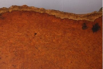 中古　特大　極厚天板　カリン材(花梨材)　鳥眼杢　自然の造形美が存在感を放つ座卓(定価約230万円)(ローテーブル)(R-039744)