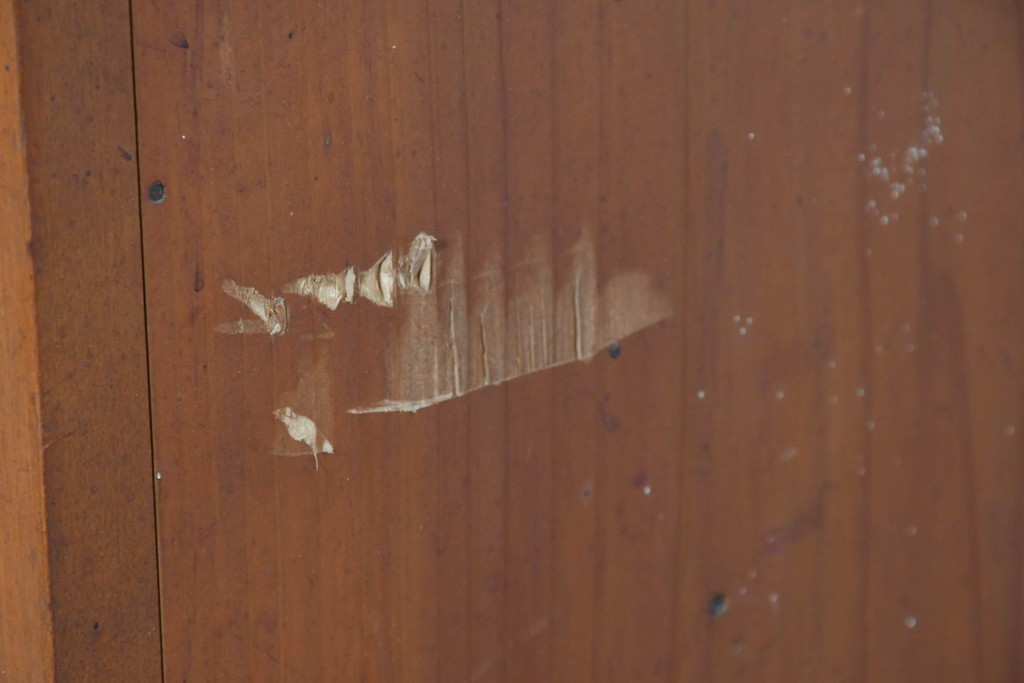 アンティーク家具　和製アンティーク　大正昭和初期　シンプルなデザインが取り入れやすい衣装箪笥(時代箪笥、ローボード、テレビ台)(R-039856)