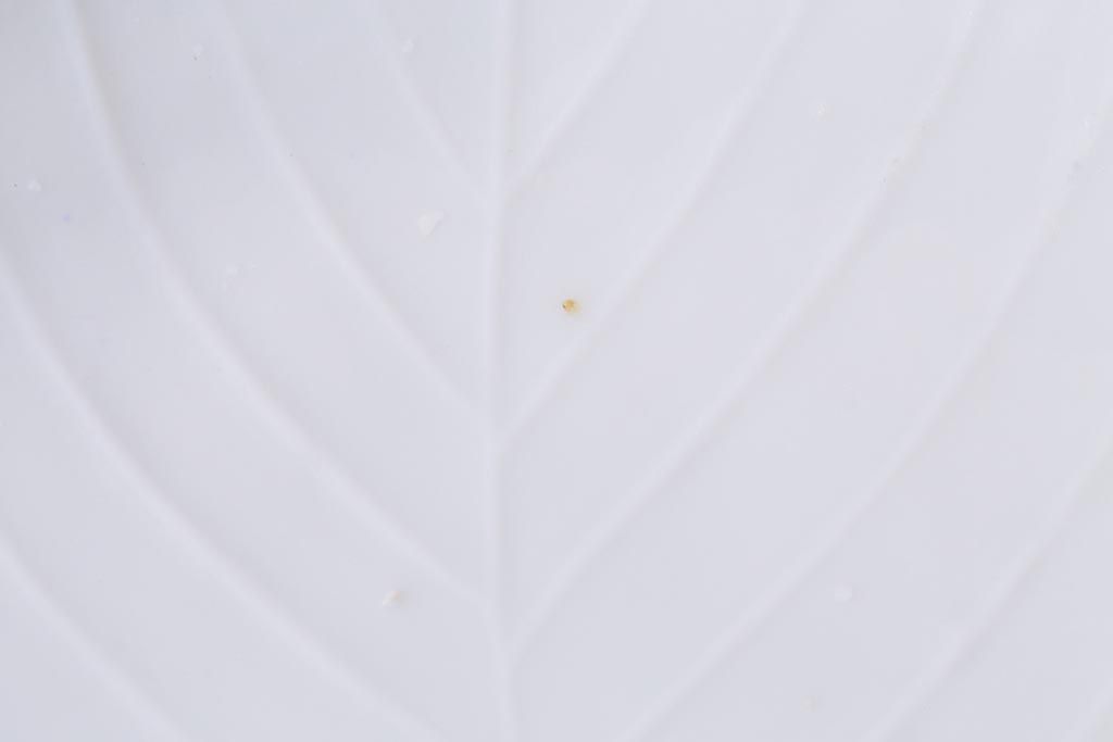 アンティーク雑貨　幕末明治期　櫛高台　葉文変形皿3枚セット(中皿、和食器、鍋島焼)(R-040037)