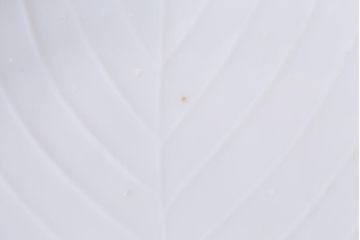 アンティーク雑貨　幕末明治期　櫛高台　葉文変形皿3枚セット(中皿、和食器、鍋島焼)(R-040037)