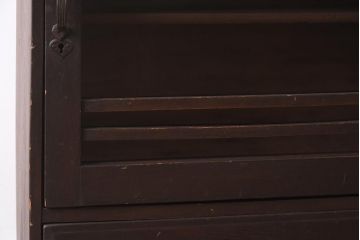 アンティーク家具　レトロ家具　薄型で小振りな収納棚(キャビネット、本棚)(R-040053)