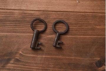 【簡易リペア限定品】アンティーク建具　江戸明治期　前面ケヤキ材　閂(かんぬき)付き　希少!和の雰囲気を高める時代物の岩谷堂箪笥(衣裳箪笥、時代箪笥、収納箪笥)(R-040099)