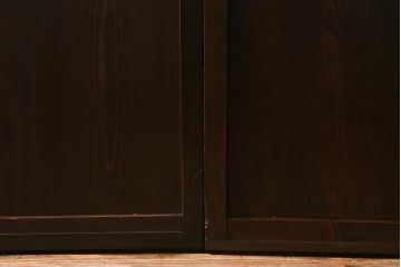 アンティーク建具　大正昭和期　光をやさしく取り込む格子戸2枚セット(建具、引き戸、玄関戸)(R-040398)