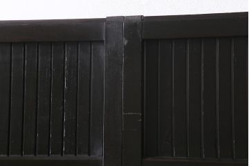 アンティーク建具　明治大正期　モダンな雰囲気漂う平格子戸2枚セット(建具、引き戸、玄関戸)(R-040399)