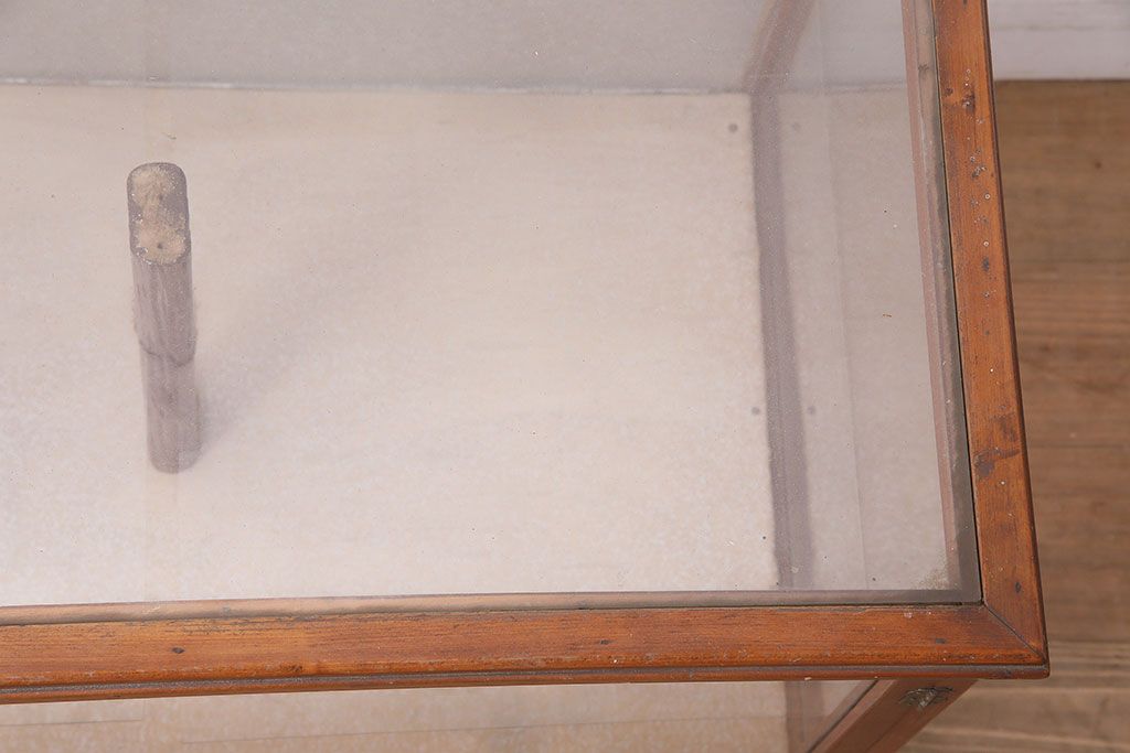 レトロ家具　昭和中期　扉タイプ　コレクションのディスプレイにおすすめなガラスケース(人形ケース、ショーケース)(R-040429)