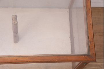 レトロ家具　昭和中期　扉タイプ　コレクションのディスプレイにおすすめなガラスケース(人形ケース、ショーケース)(R-040429)