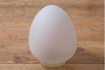 アンティーク照明　大正ロマン　オパールセントのウォールライト(壁掛け照明、壁付け照明)(R-039438)