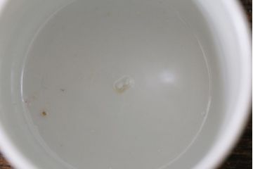 古民具・骨董　江戸期　古伊万里　草文染付筒型猪口2客セット(酒器、和食器)(R-040491)