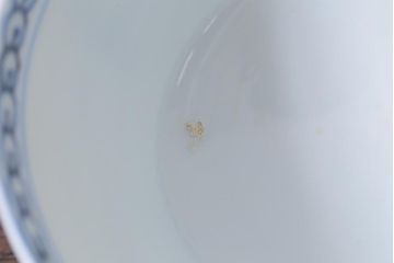 アンティーク雑貨　明治期　花蝶文染付蓋茶碗2客セット(蓋付茶碗、和食器)(R-040499)
